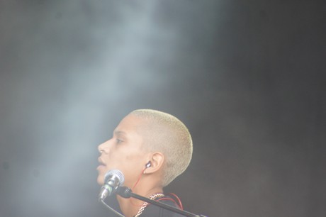 Rockaue in Bonn